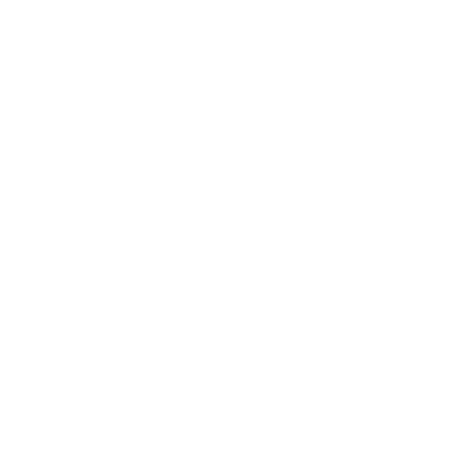 DACHSER & KOLB: Fläche