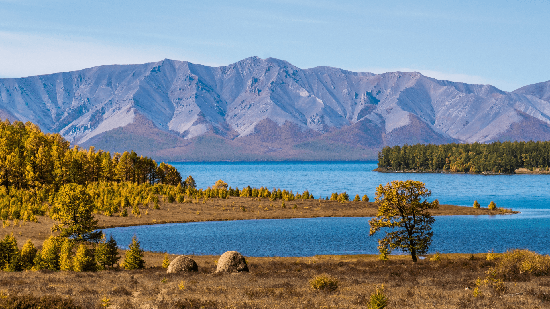 Bergsee in der Mongolei mit blauem Wasser, herbstlichen Bäumen und Gebirgskette im Hintergrund