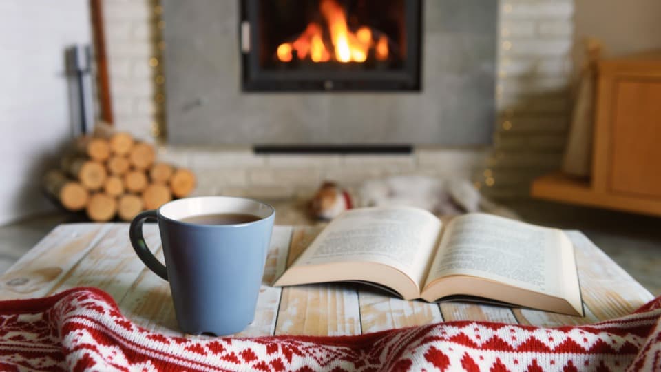 Gemütlicher Wohnraum mit Kamin, Buch und Tasse als Symbol für Hygge in Dänemark
