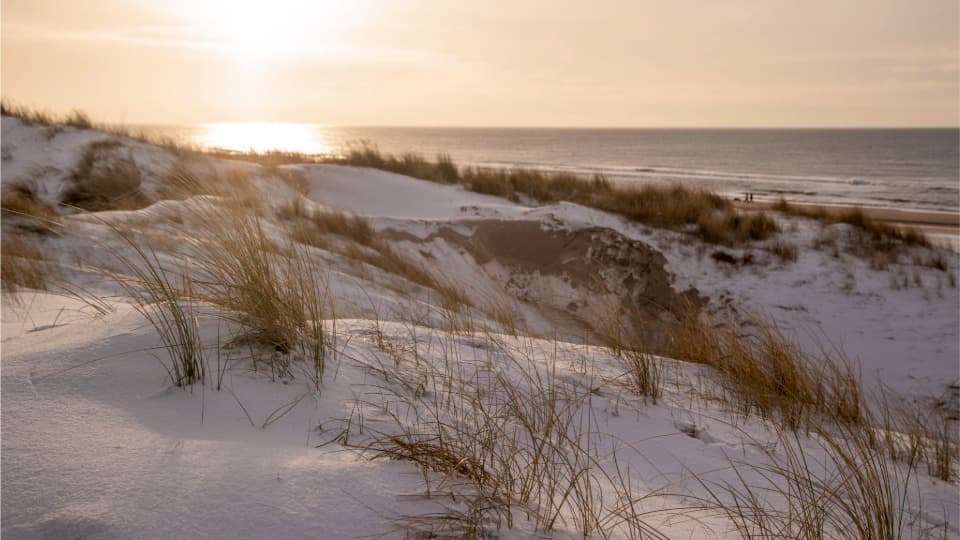 Winterliche Dünenlandschaft an der dänischen Küste bei Sonnenuntergang