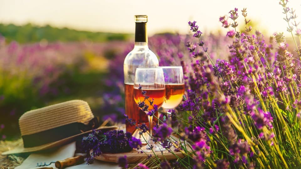Wein und Lavendelfeld in Frankreich als Symbol für Wirtschaft und Genusskultur