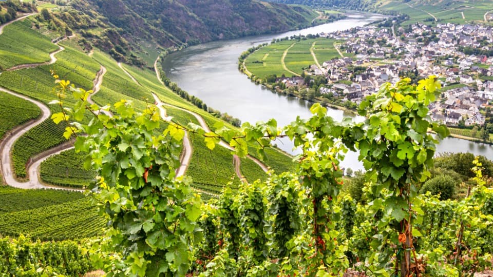 Blick auf die Moselschleife und Weinberge – Beispiel für die regionale Vielfalt und die starke kulturelle Infrastruktur in Deutschland.