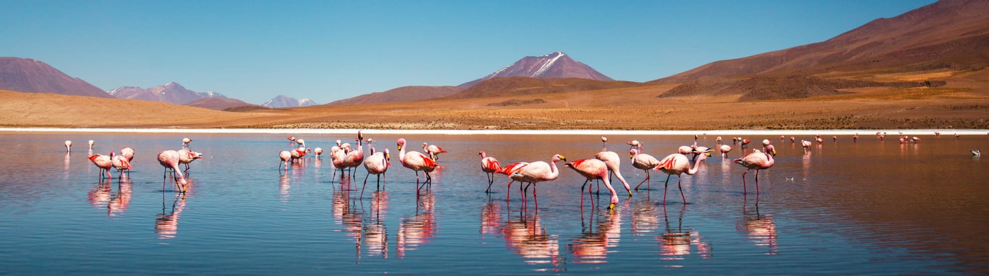 Auswandern nach Bolivien