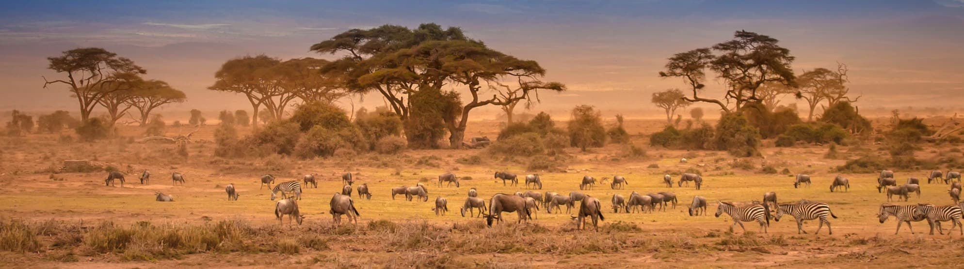 Auswandern nach Kenia
