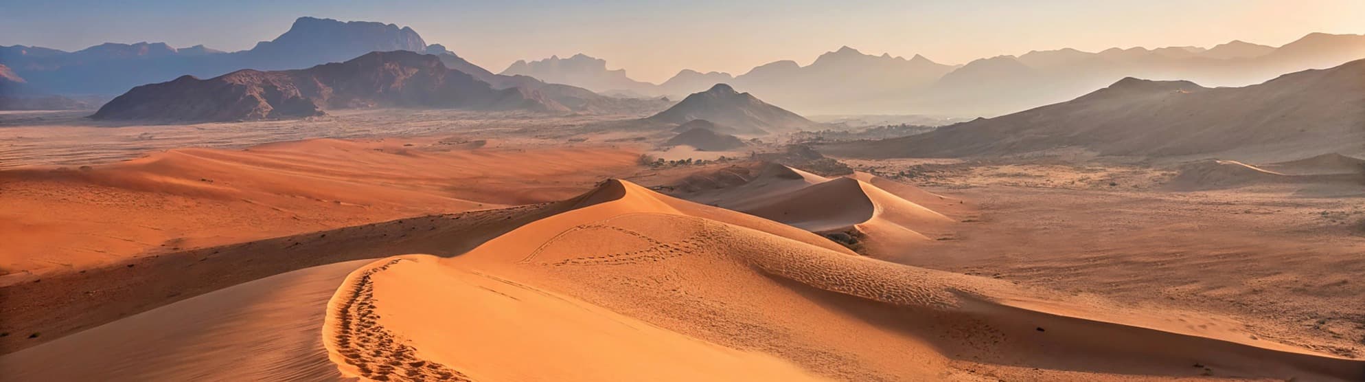 Auswandern in die Vereinigten Arabischen Emirate (VAE)