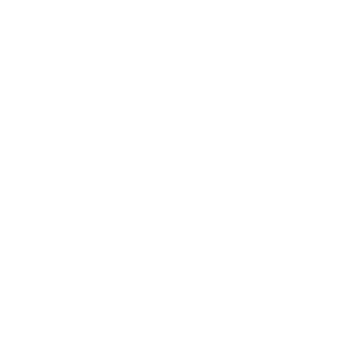 Icon mit Medaille und Sternen – Symbol für Erfahrung und Fachwissen