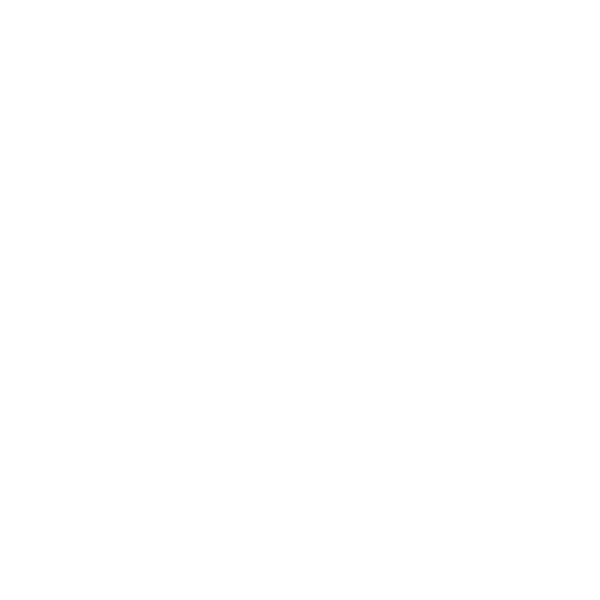 Qualitätssiegel mit Stern als Symbol für Schutz von Systemen und Strukturen