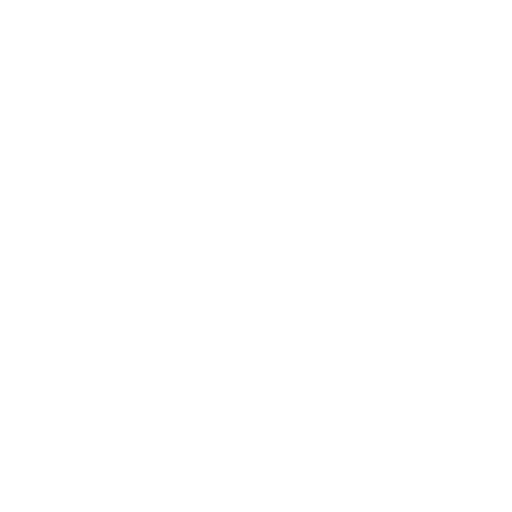 icon-sicherheit.png
