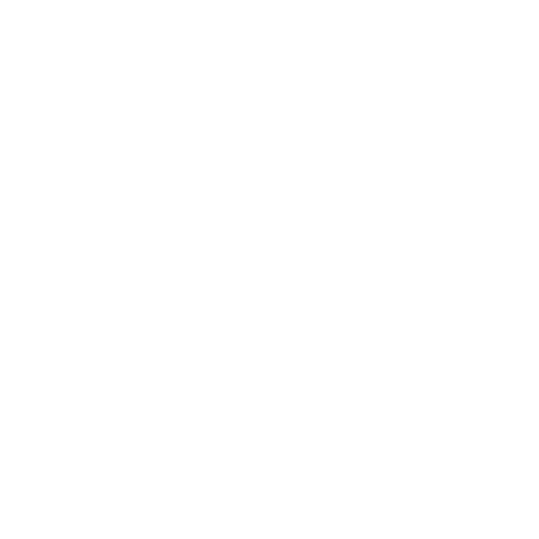 Icon einer Spritze mit Pfote – Symbol für Tollwutimpfung beim Umzug mit Tieren.