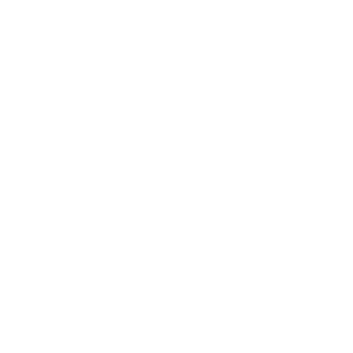 Tresor-Icon – wichtige Dinge separat packen