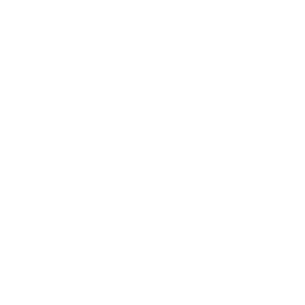 Neuware – zollrelevante Umzugsgüter