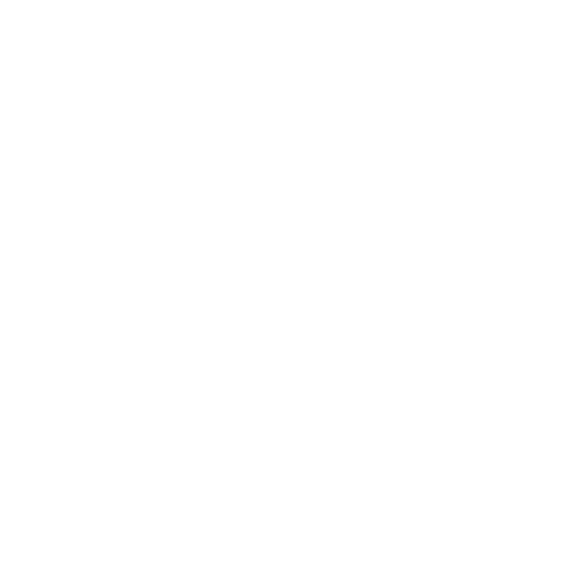 Eine Waage als Symbol für Rechtssicherheit und Gerechtigkeit im Kontext der Zollbeschau und Zollinspektion.