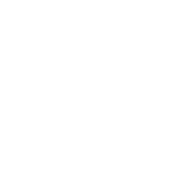 Eine Hand hält ein Schild mit Häkchen, symbolisiert Sicherheit und den Nachweis einer Versicherung bei der Zollbeschau.