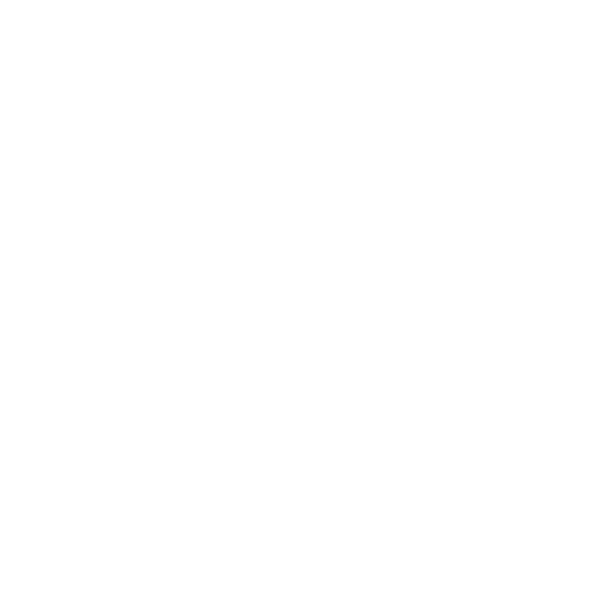 Briefcase - USA to the EU: residence permit for employment