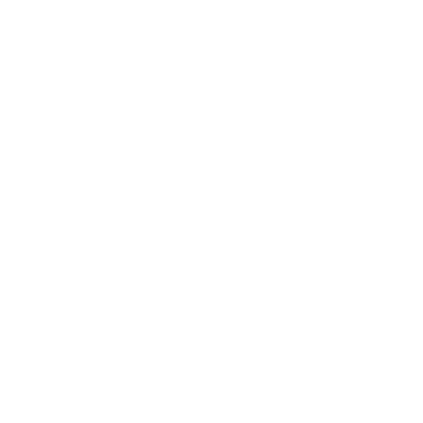 Hand holding passport – icon for special long-term visas and extended residence permits.