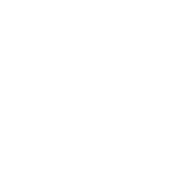 Briefcase on hand - USA to the EU: visa for self-employed people and freelancer