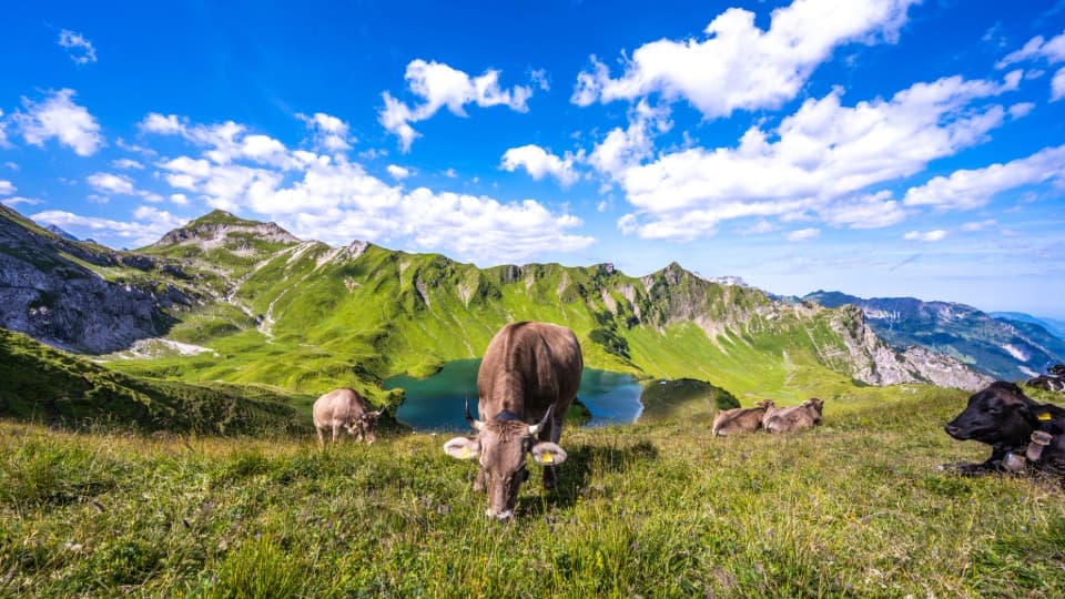 Alpenlandschaft am Schrecksee im Allgäu – Beispiel für das alpine Klima und die regionalen Wetterunterschiede in Süddeutschland.