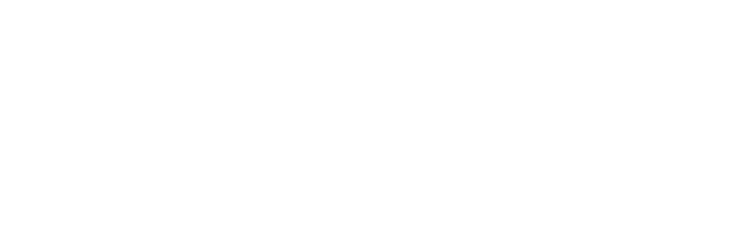 logo-visa_weiss.png