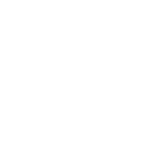 protection.png