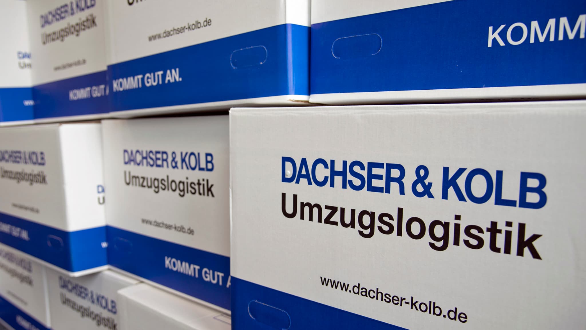 umzugskartons-onlineshop.jpg