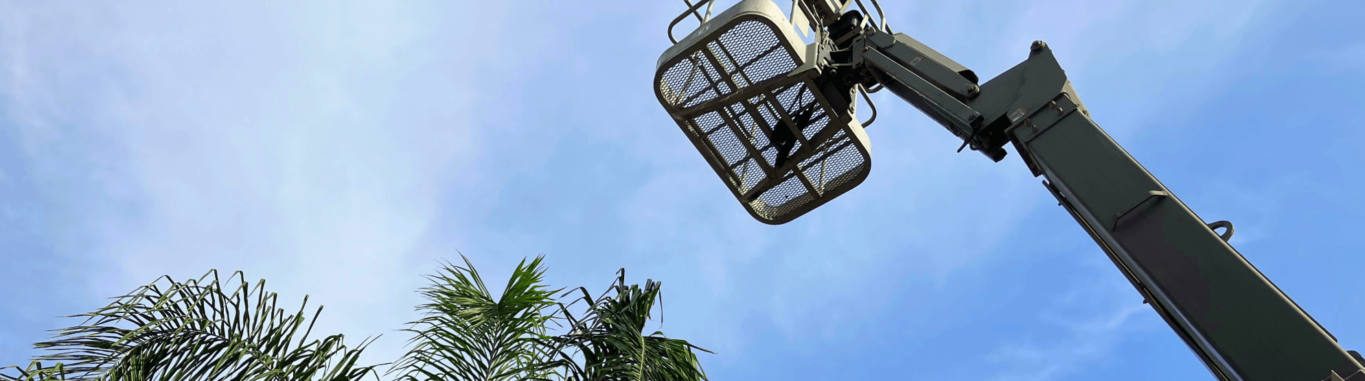 Außenaufzug mit Arbeitskorb an Teleskoparm vor blauem Himmel, Palmen im unteren Bildrand.