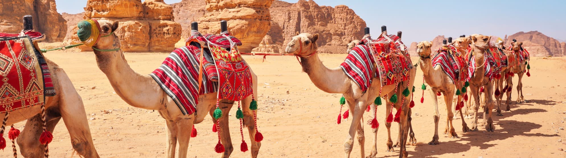 Auswandern nach Saudi-Arabien