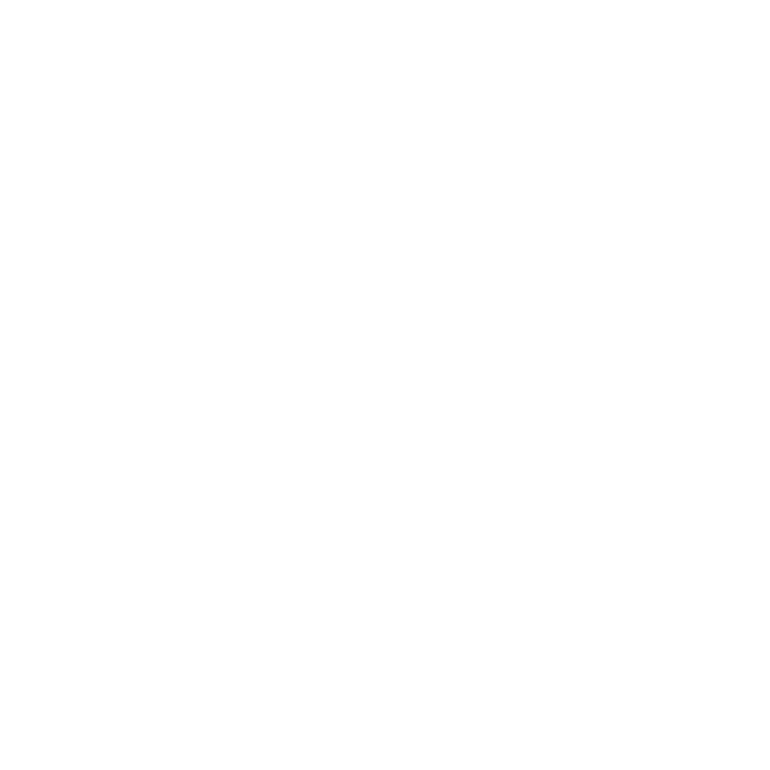 Icon eines Hauses – Symbol für Tipps zur Eingewöhnung von Tieren nach dem Umzug.