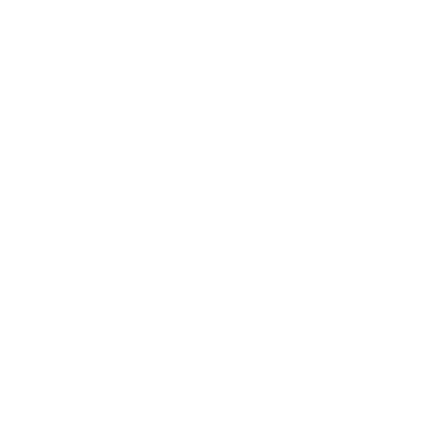 Containerschiff-Symbol mit Sicherheitsschild – umfassende Absicherung bei großer Havarie beim Umzug.