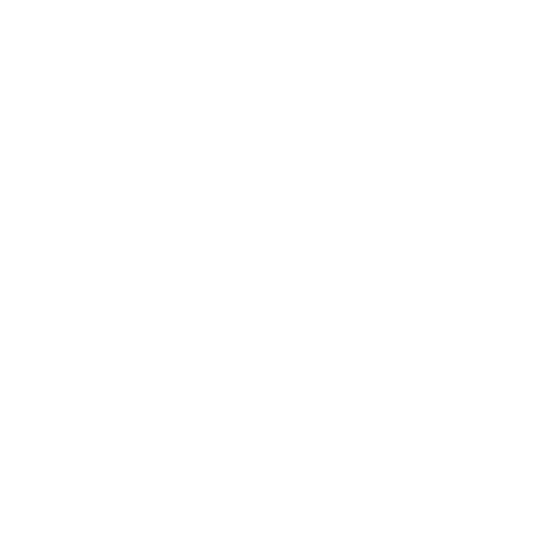 Icon eines Flugzeugs vor einer Weltkugel – Symbol für internationalen Transport beim Umzug mit Tieren nach Norwegen.
