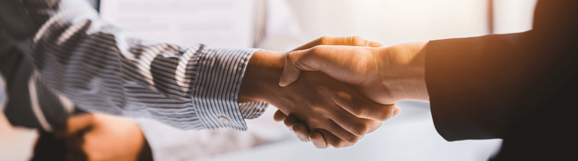 Two people shaking hands during a business meeting or job offer. Symbol for agreement and career opportunity.