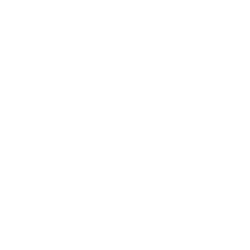 shield_1.png