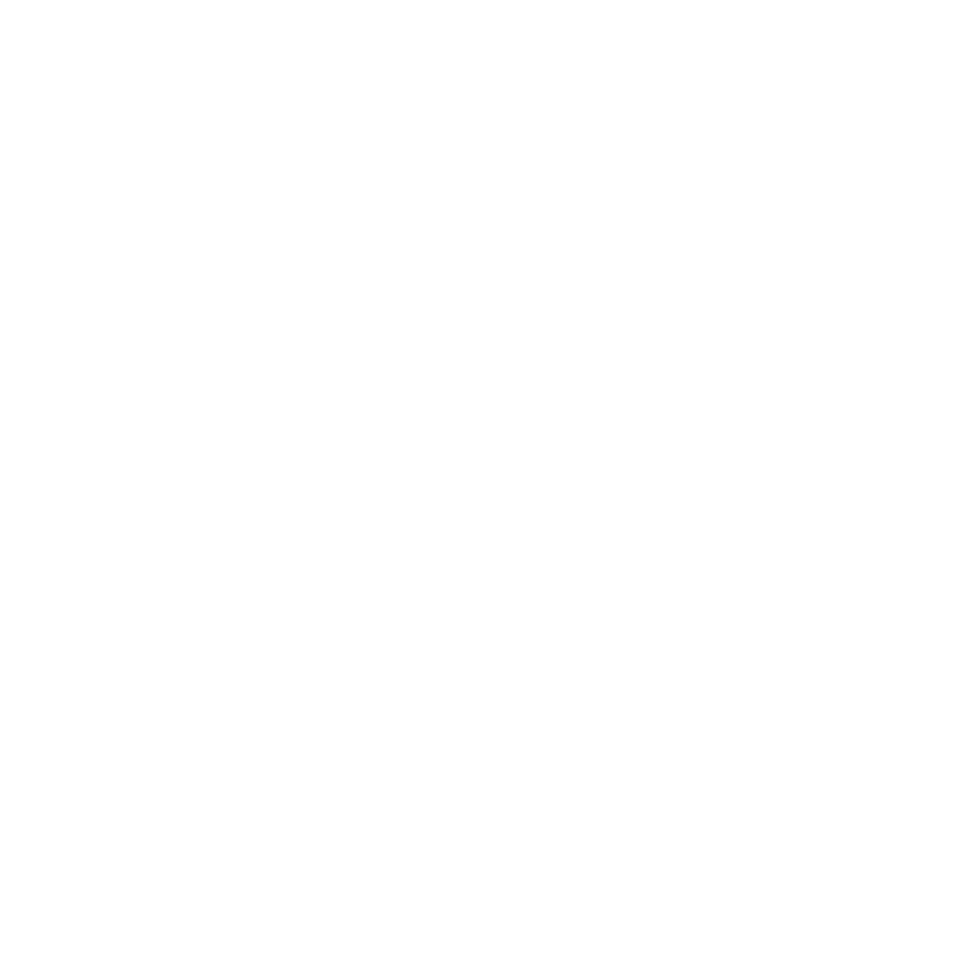 DACHSER & KOLB: Professionelle Durchführung der Zollformalitäten