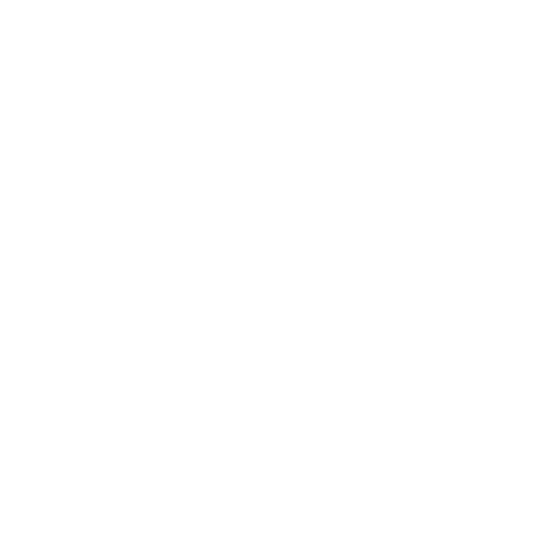 DACHSER & KOLB: Sicherer PKW- und Bootstransport