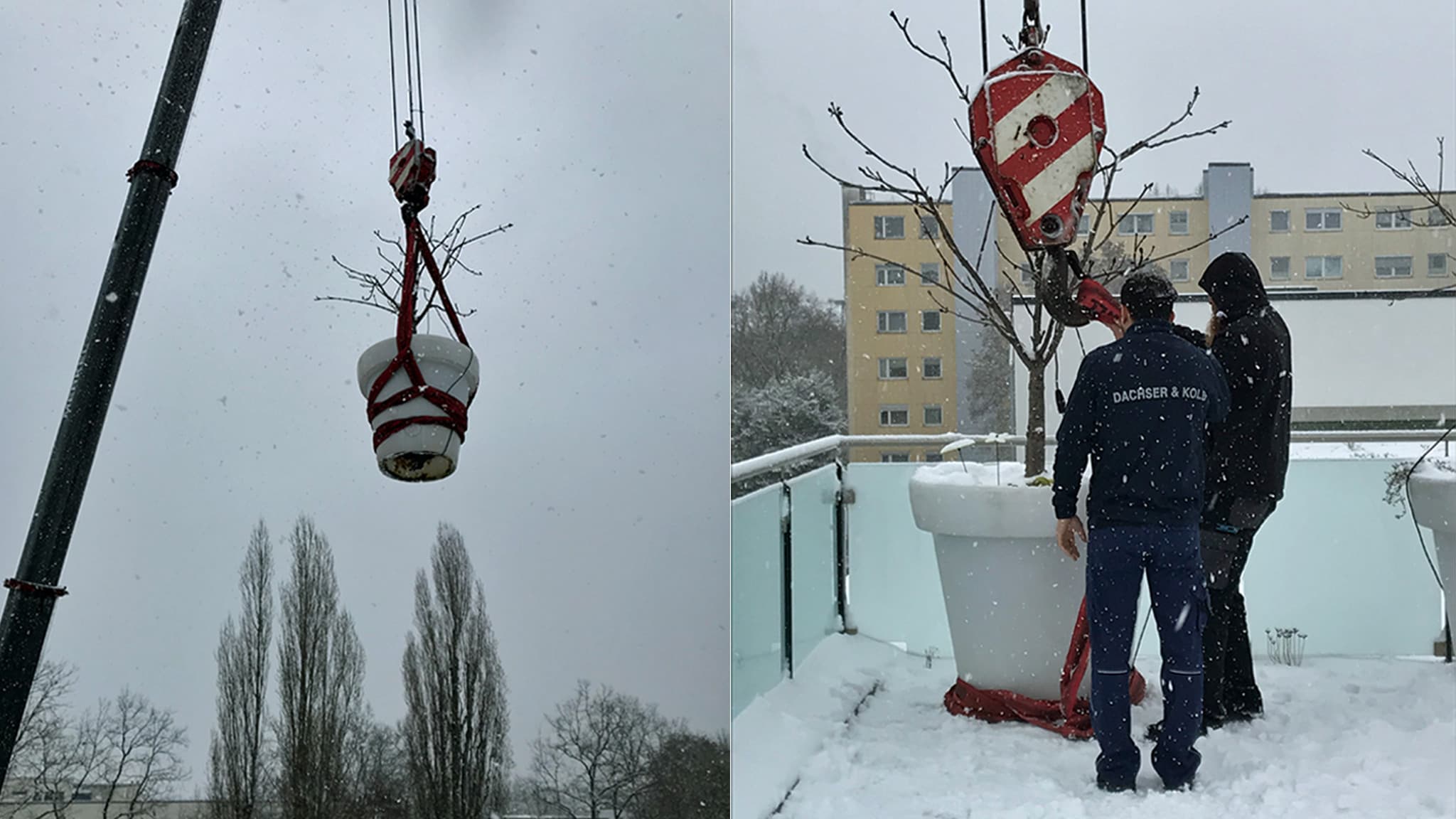 xxl-blumentoefe_zweibilder.jpg